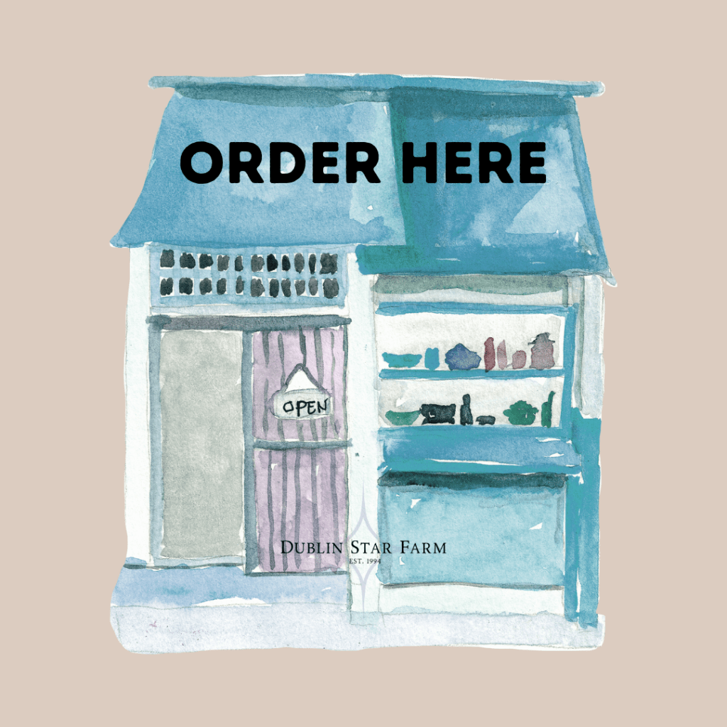 Image is a Dublin Star Farm Order button.  It is a watercolor rendering of a small shop in blue The watercolor image is on a faint orange background with the words "Order Here" in bold and the Dublin Star Farm logo watermarked on top of it.   Click here to place your personal order. 