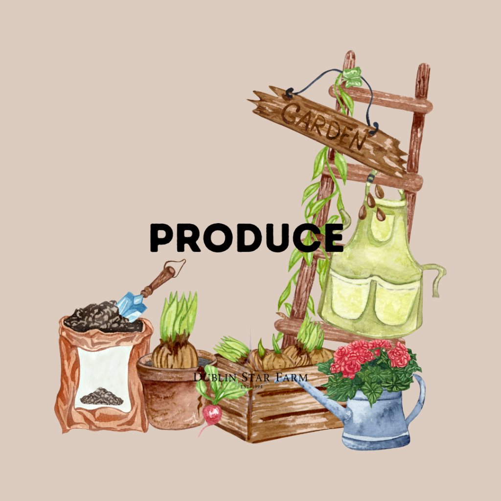 Image is a Dublin Star Farm Produce button.  It is a watercolor rendering of garden items and produce on a faint orange background with the word "Produce" in bold, and the Dublin Star Farm logo watermarked on top of it.  Click here to enter the Produce Menu.