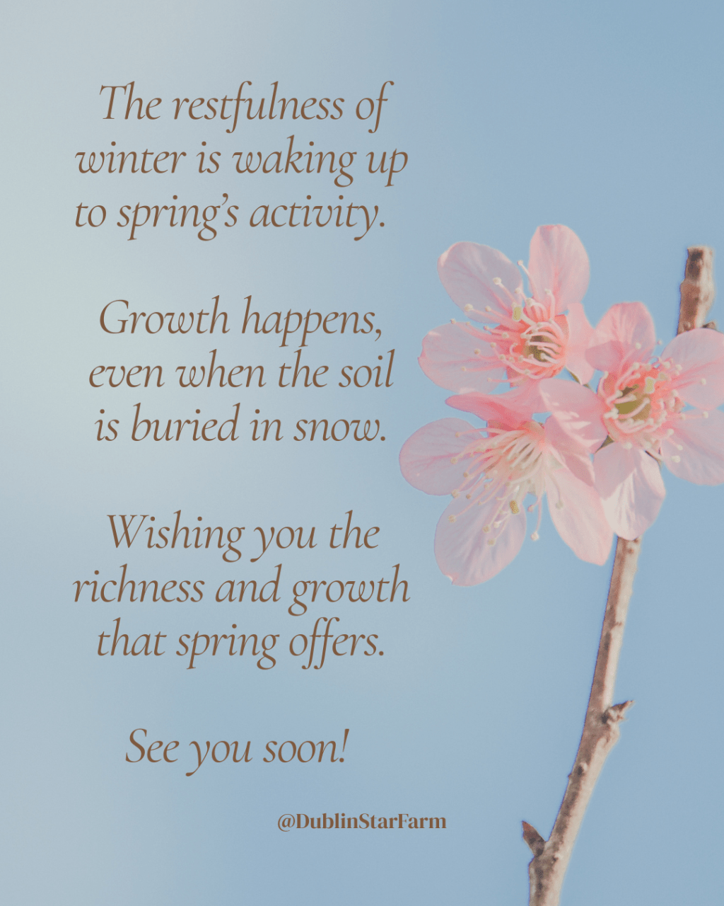 Welcome Spring