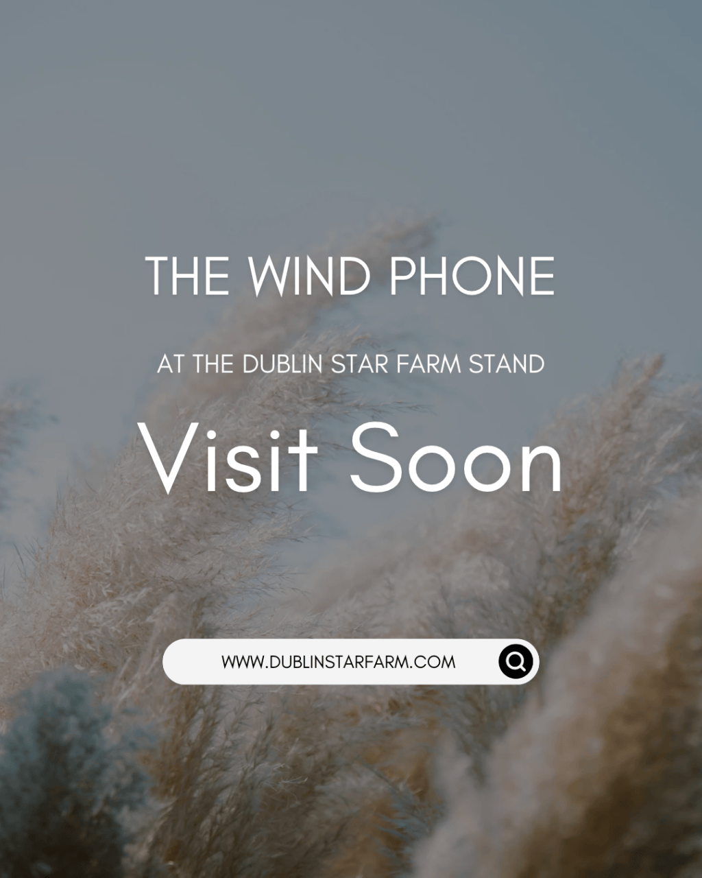 The Wind Phone at the Dublin Star Farm&nbsp;Stand